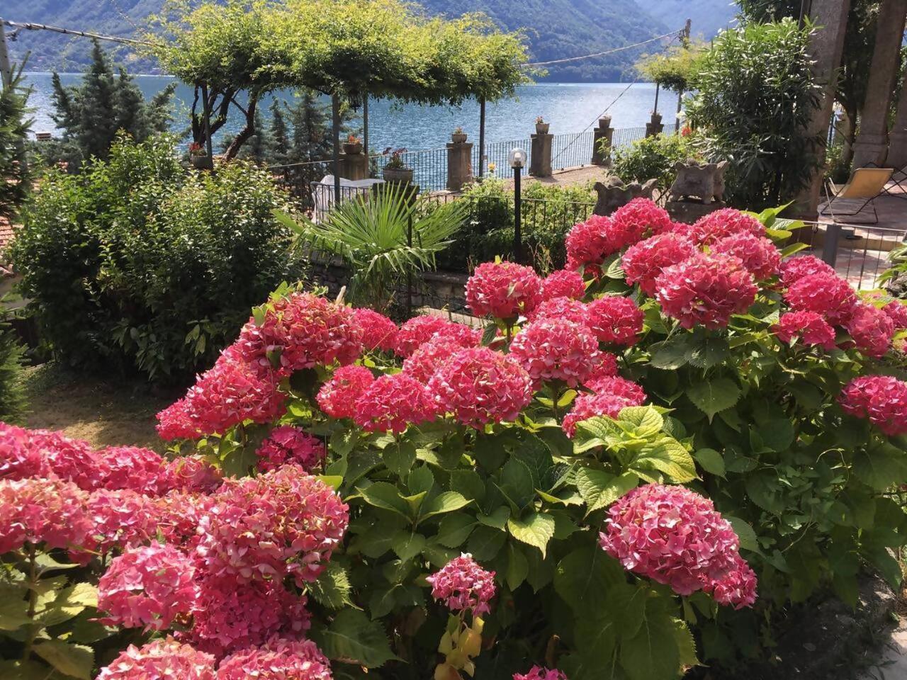 Villa Peroni Honeymoon Cottage Argegno Exteriör bild